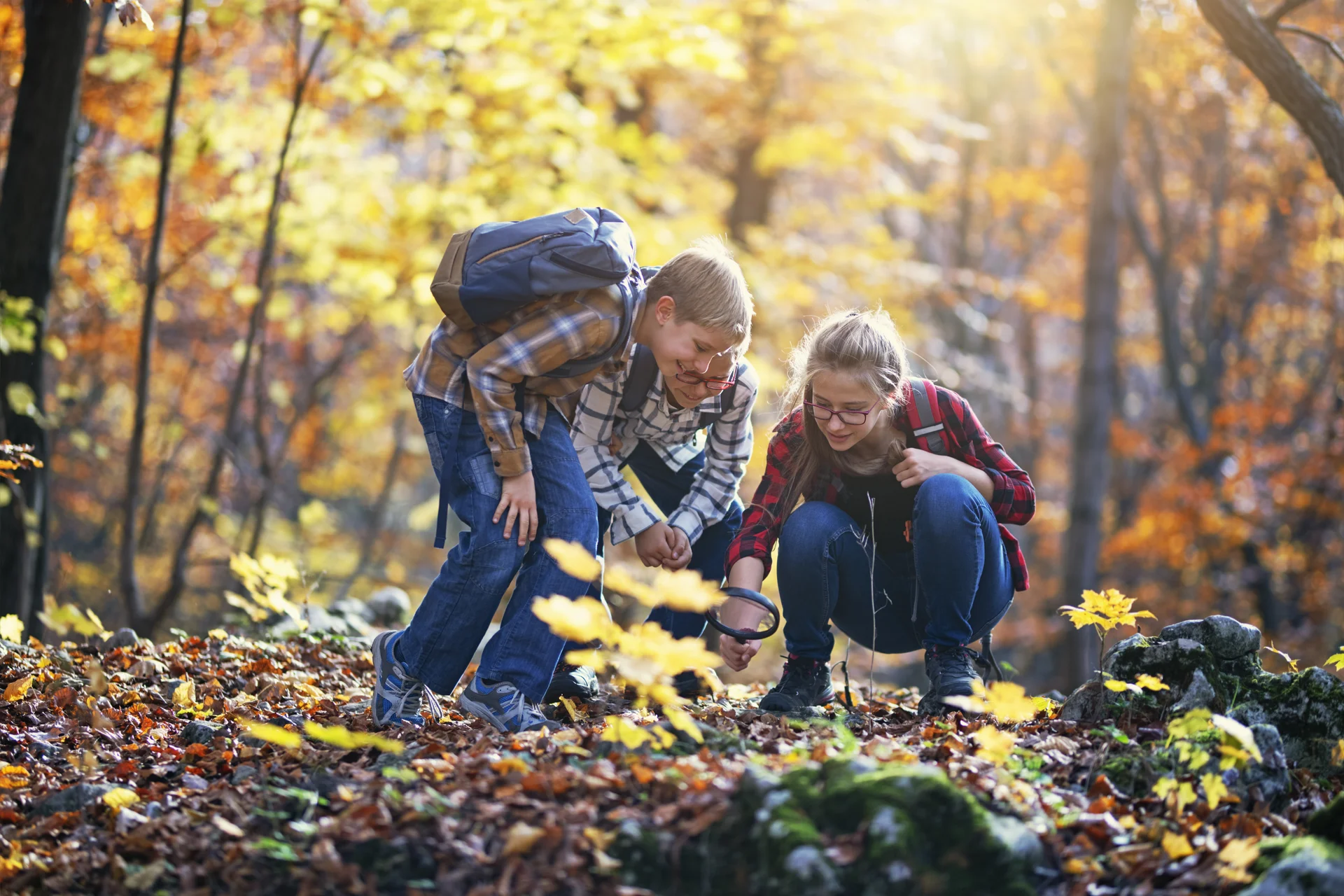 Drei Kinder im Wald betrachten Pflanzen am Boden