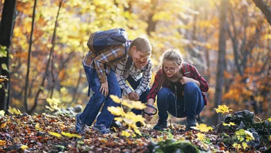 Drei Kinder im Wald betrachten Pflanzen am Boden