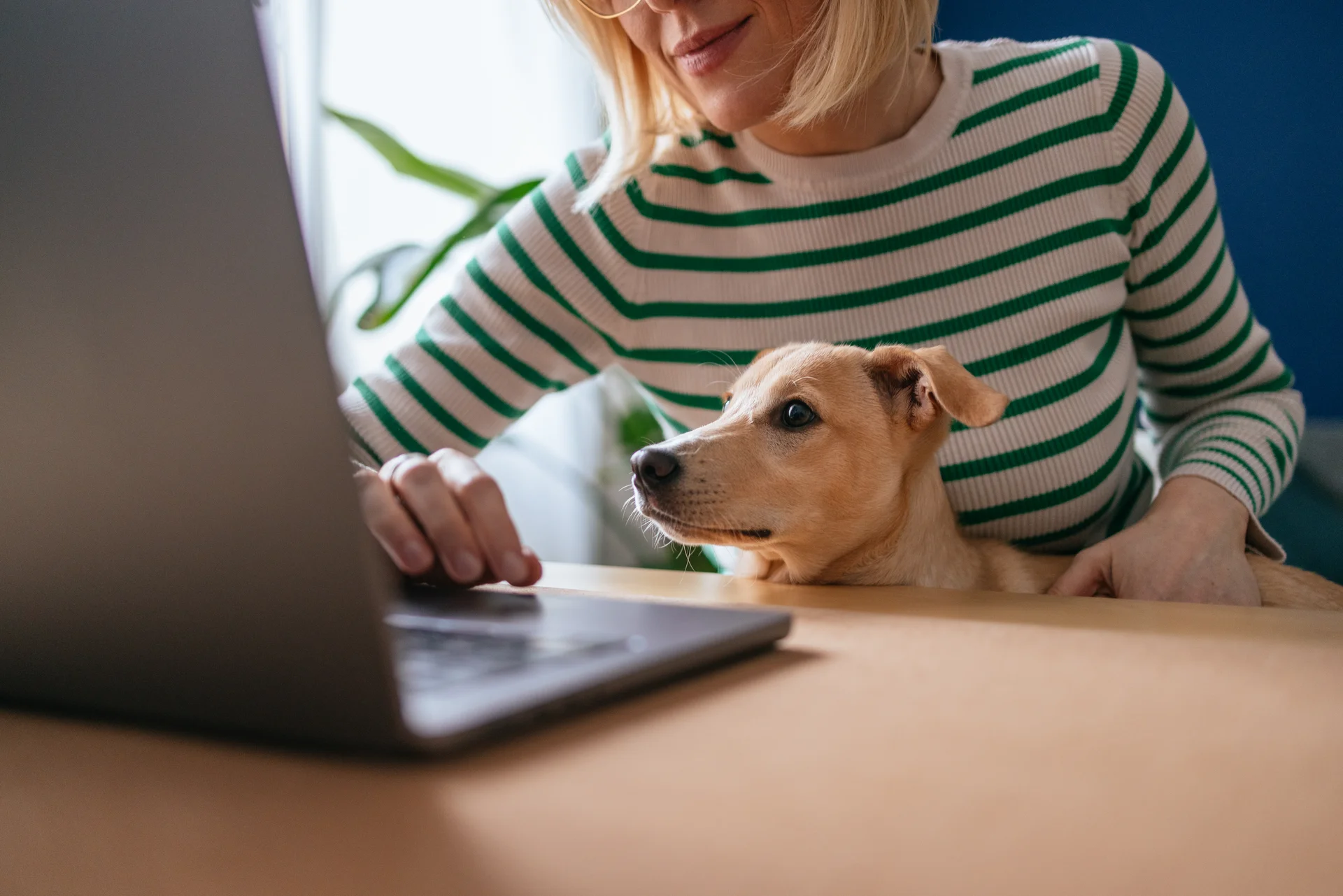 Eine Frau sitzt mit ihrem Hund auf dem Schoss vor dem Laptop